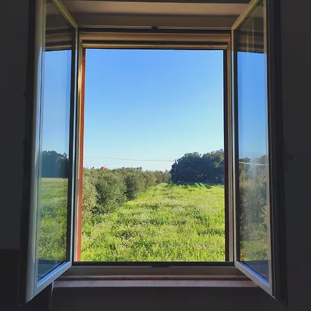 Dom wakacyjny Porta Sugli Ulivi Monopoli